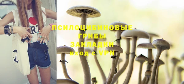 дживик Орехово-Зуево